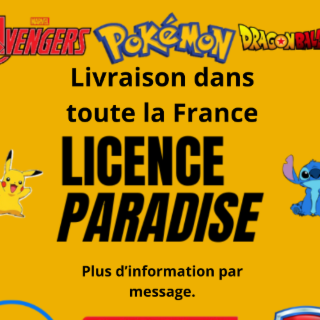 LICENCE PARADISE