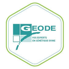 GEODE