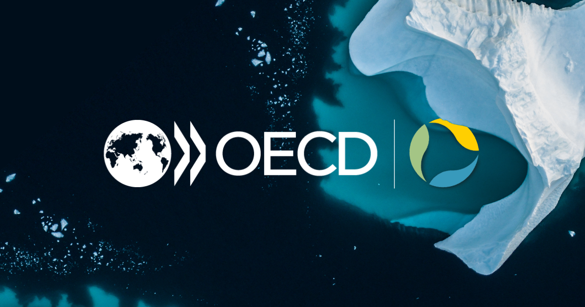 Oecd cop29 virtual pavilion