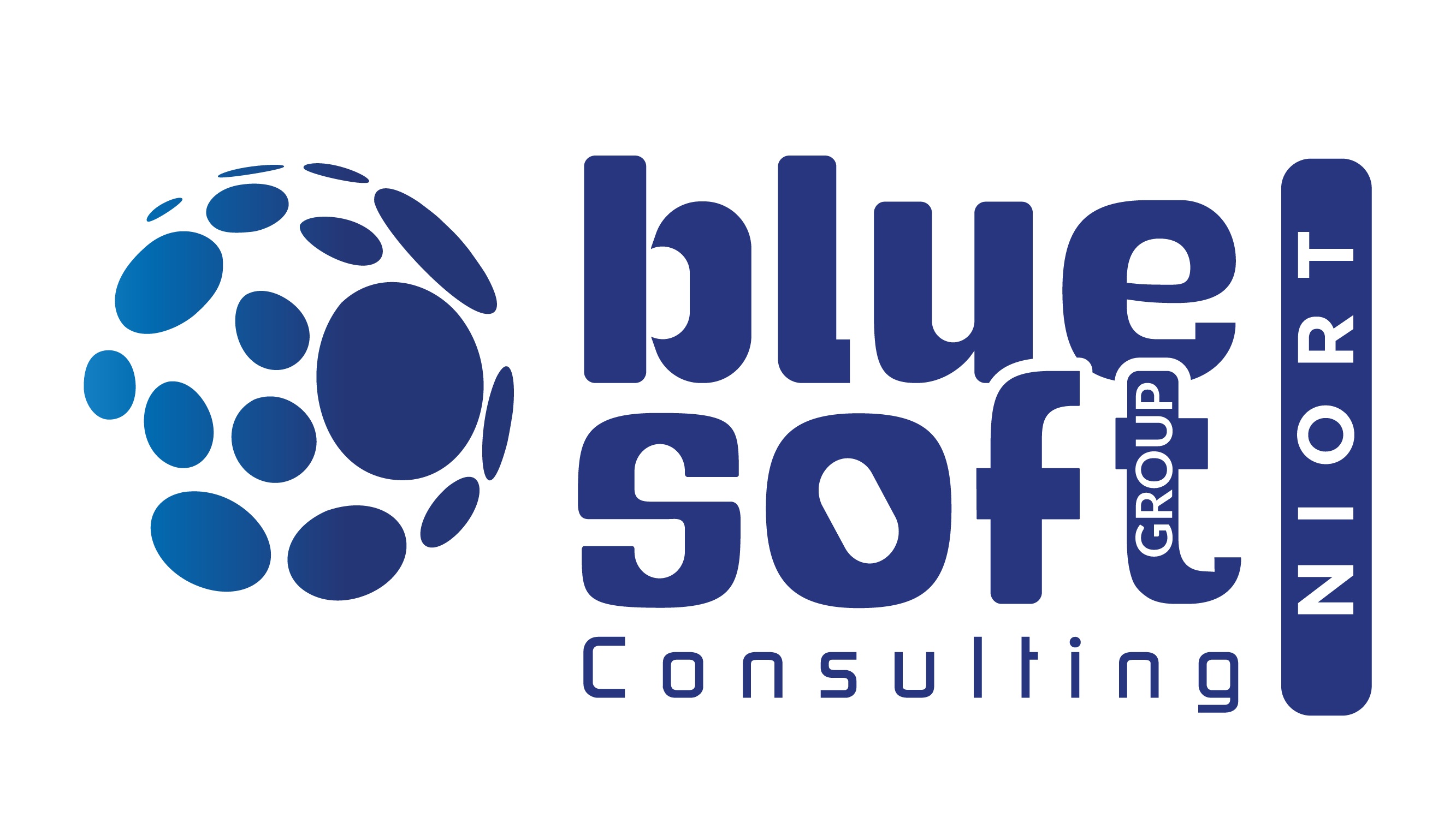 Blue Soft Consulting Niort