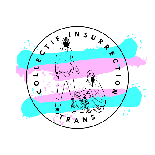 Collectif insurrection trans