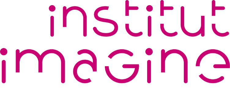 Institut Imagine