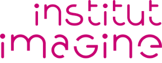 Institut Imagine