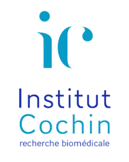 Institut Cochin