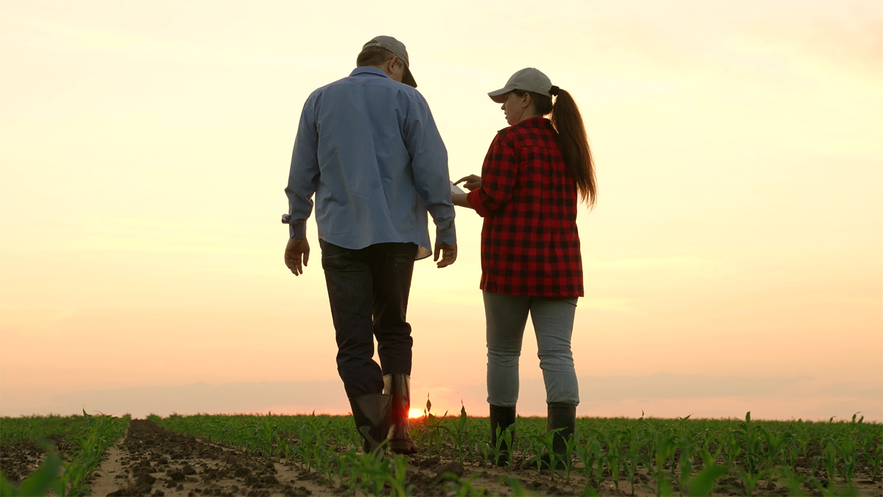 RH : Recruter, former, fidéliser