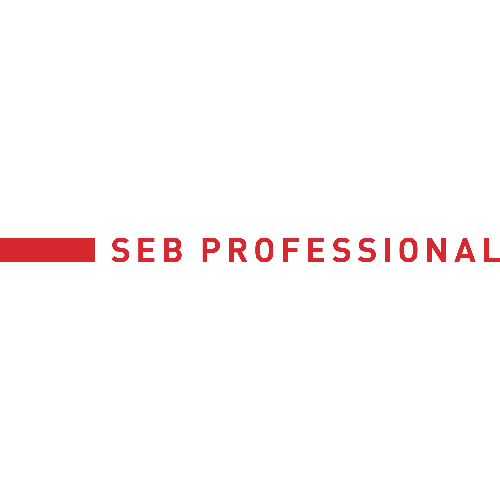 SEB DEVELOPPEMENT SAS