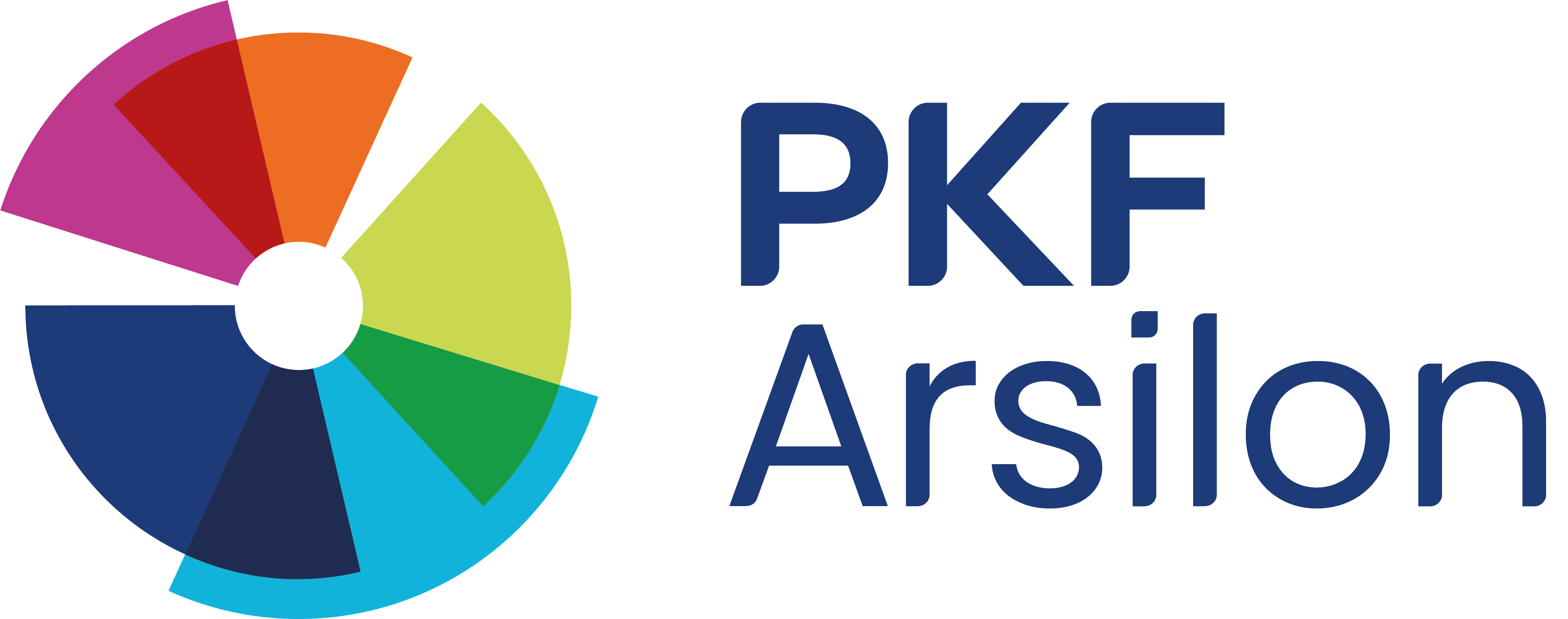 PKF ARSILON CONSEIL