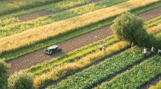 La Robotique Agricole en 2025