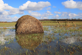 Intempéries et arrêts d’activité