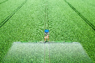 Application phytopharmaceutique