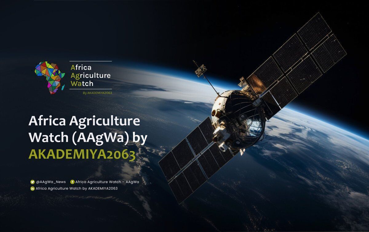 The Africa Agriculture Watch (AAgWa)