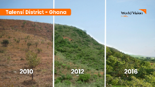 Farmer Managed Natural Regeneration