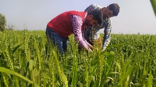 Scaling Regenerative Agriculture