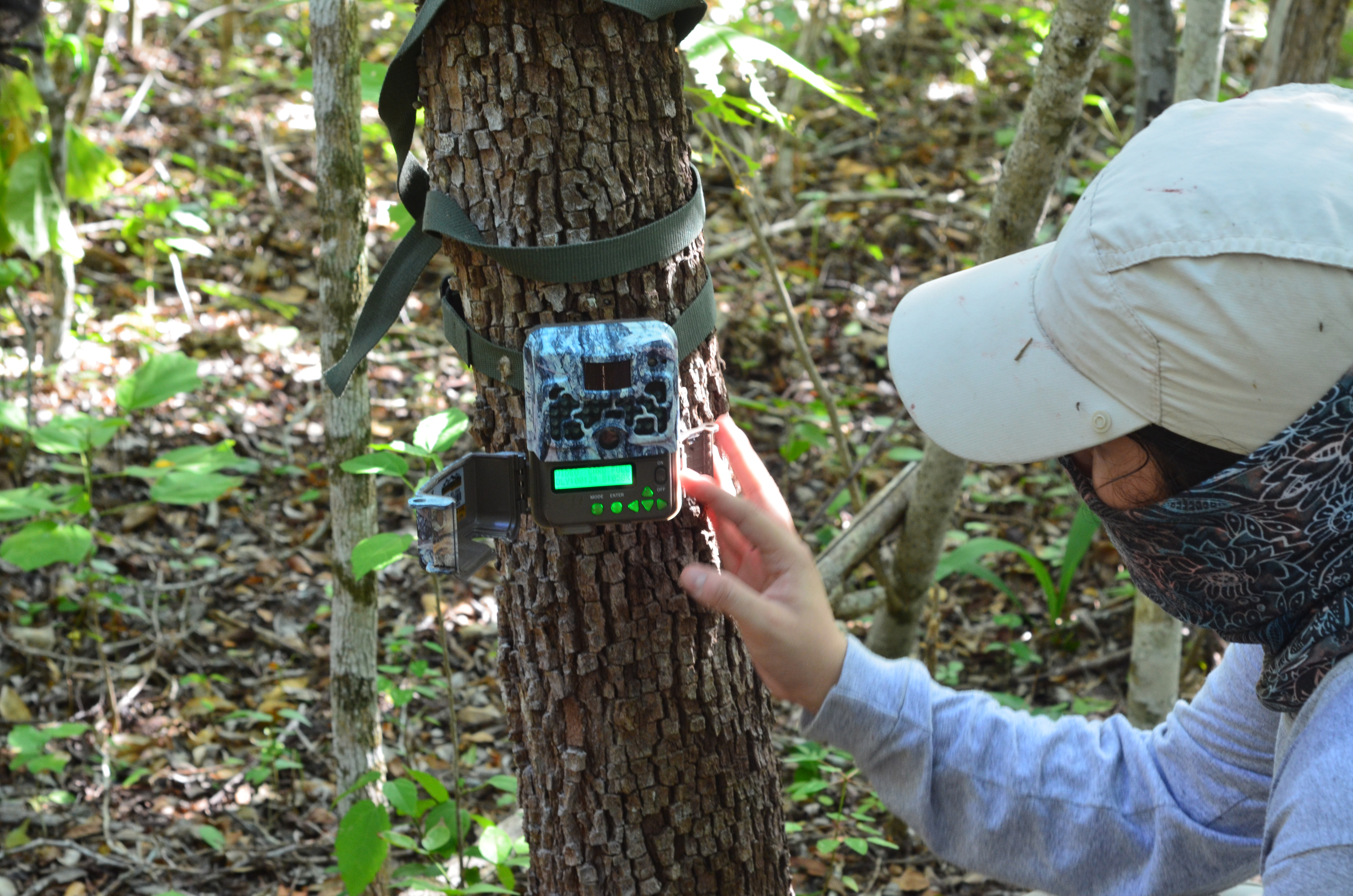 AI for Climate and Biodiversity