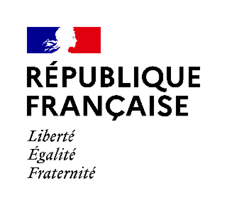 Gouvernement Français
