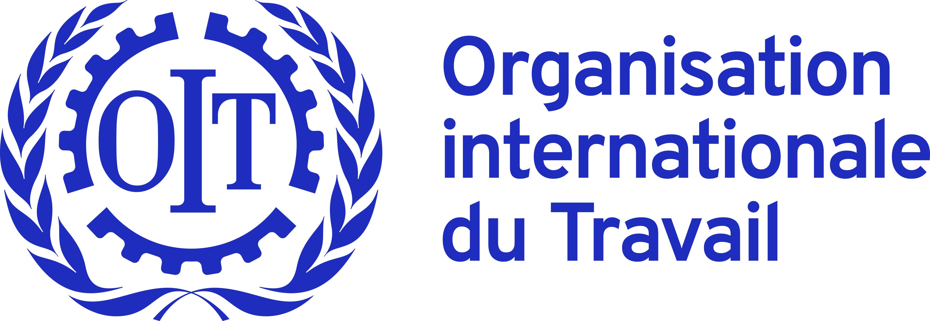 International Labour Organization
