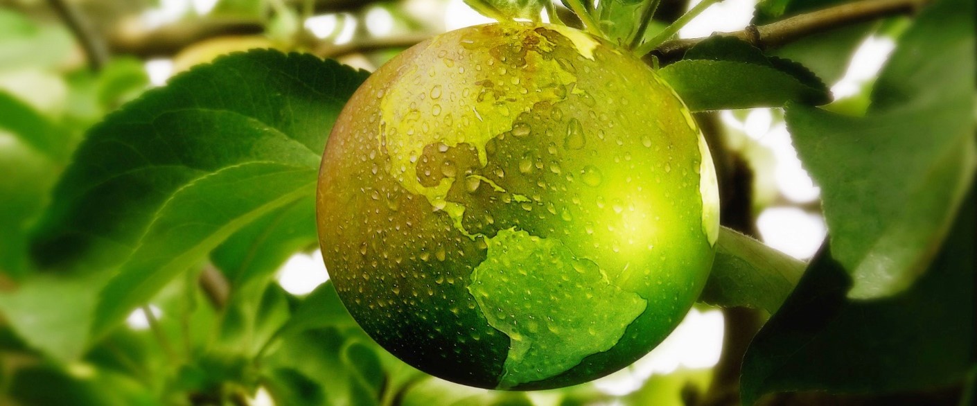 Sustainable Agricultural Production (PAS)