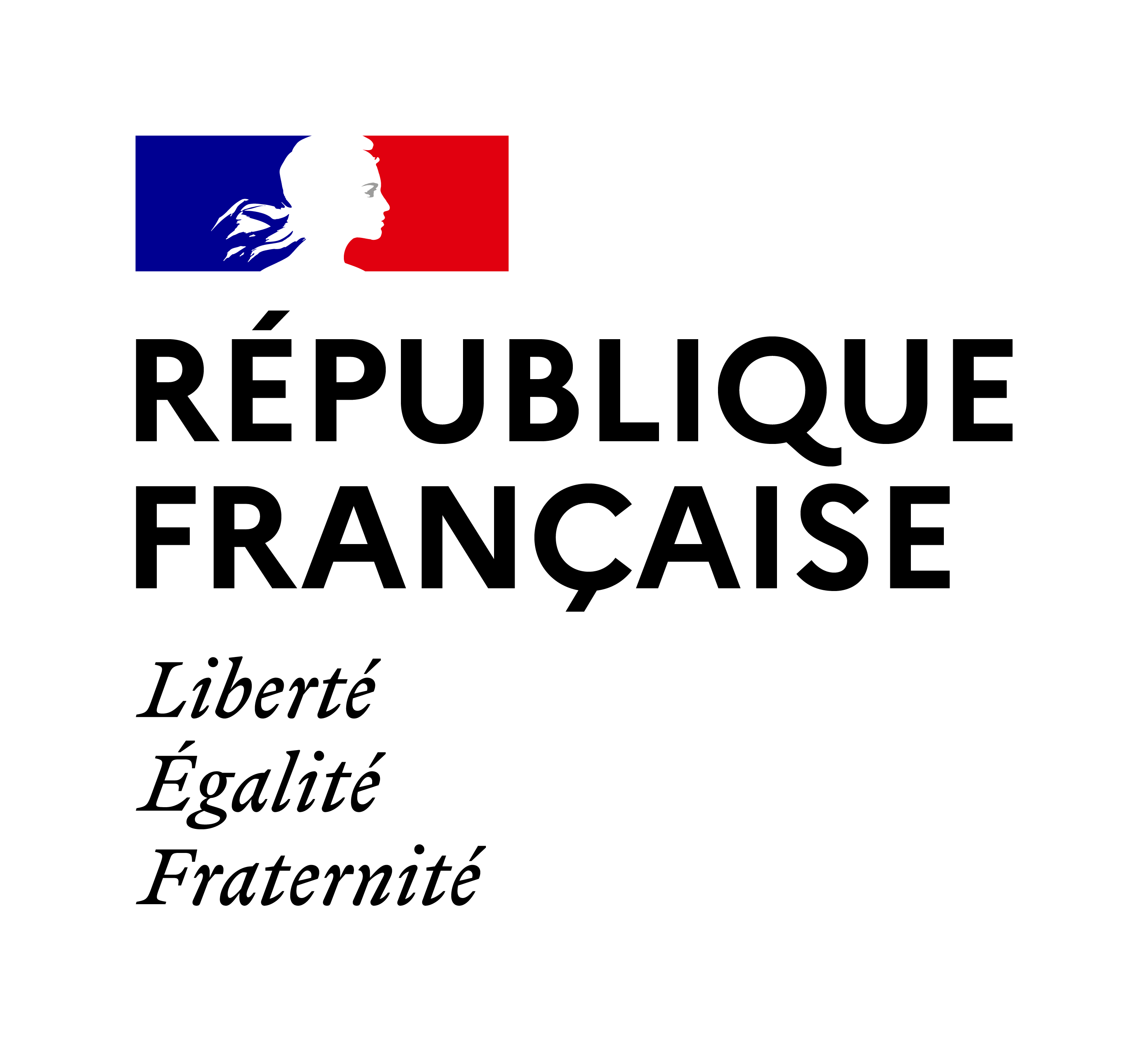 Gouvernement Français