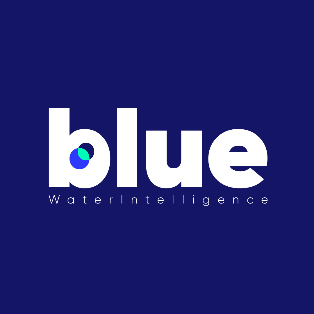 BWI (Blue Water Intelligence)