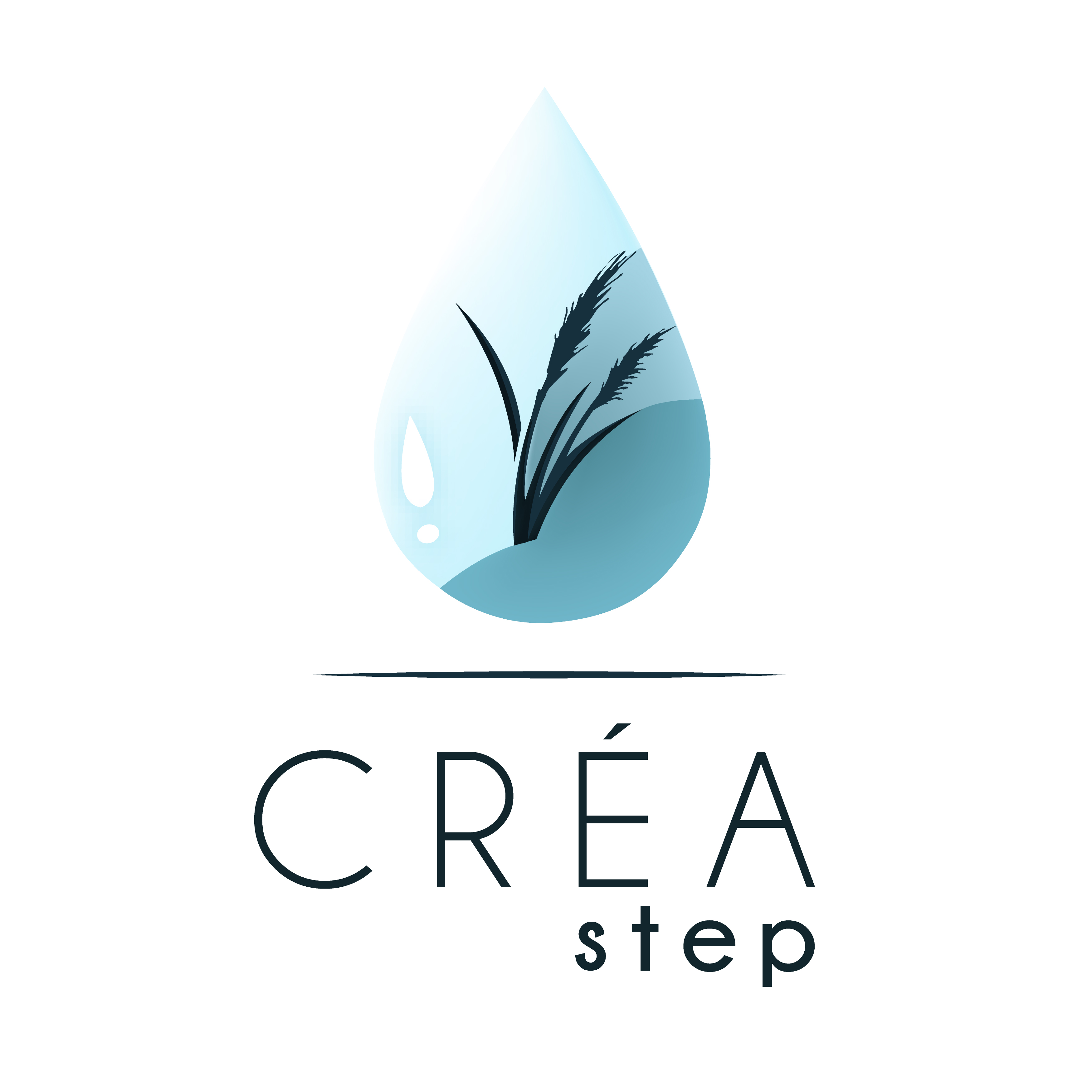CREASTEP