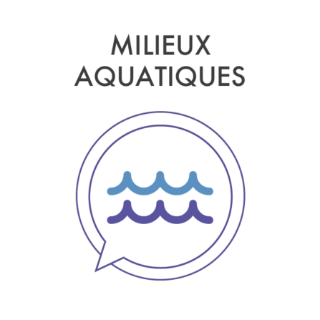 Communauté Milieux aquatiques