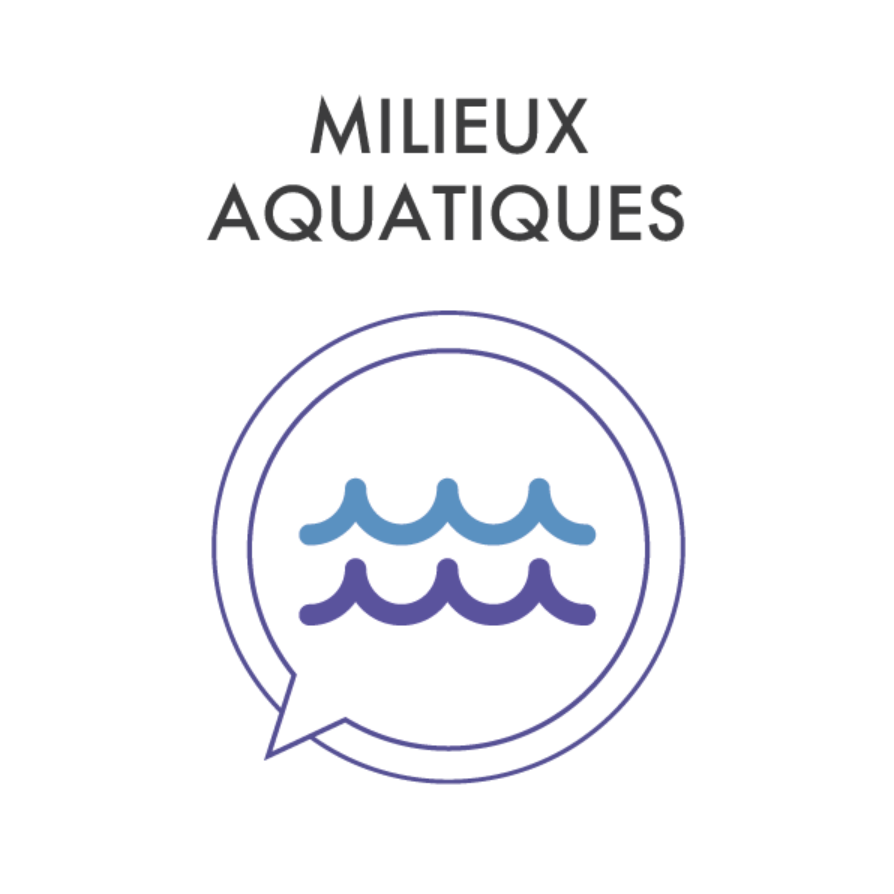Communauté Milieux aquatiques