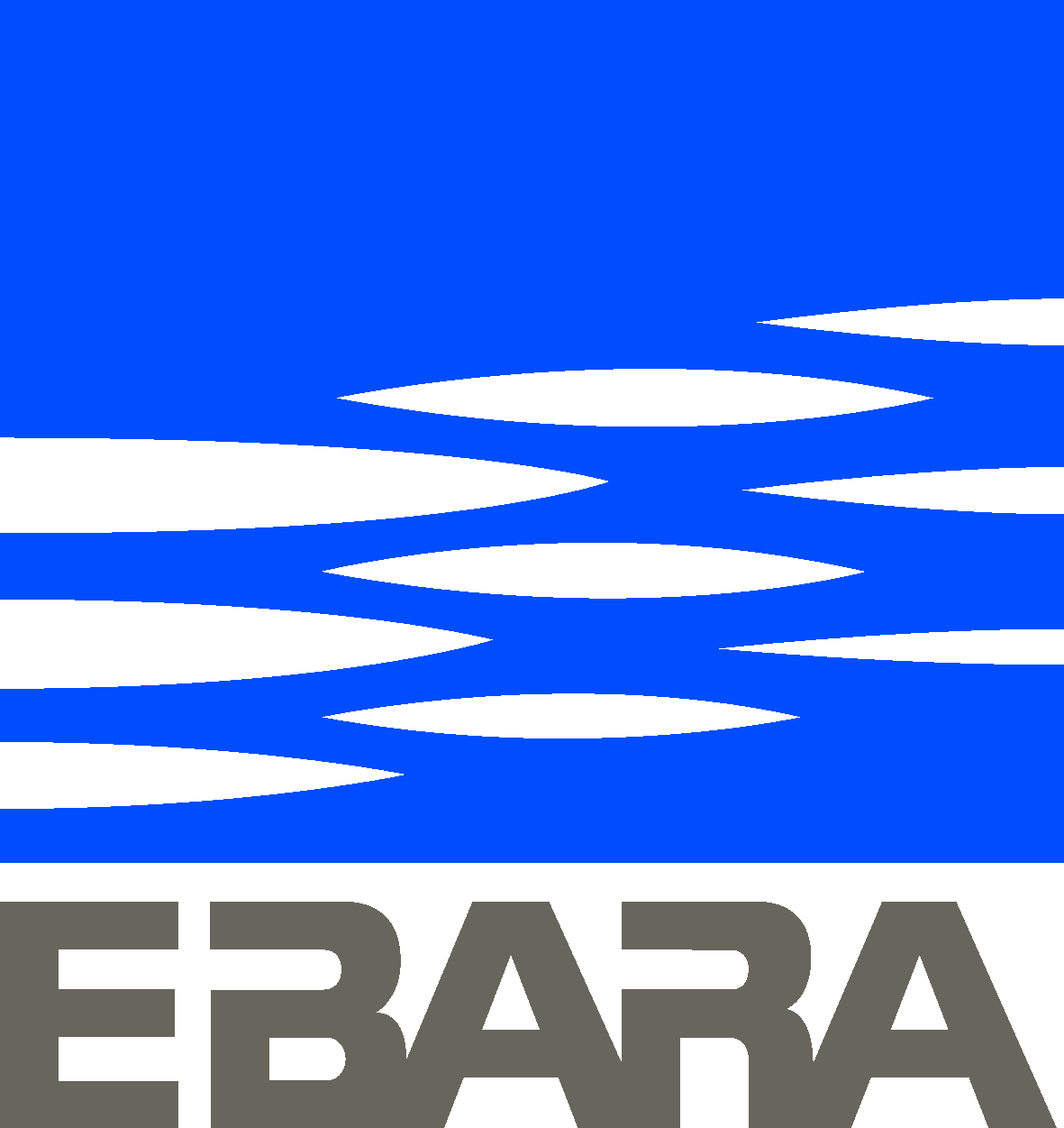 EBARA France