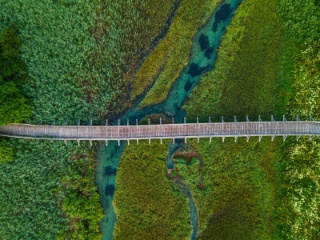 Accelerating investment in adaptation: Launching the OECD’s Climate Adaptation Investment Framework 