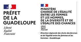Egalité entre les Femmes et les Hommes, Diversité et Egalité des Chances (Ministère)