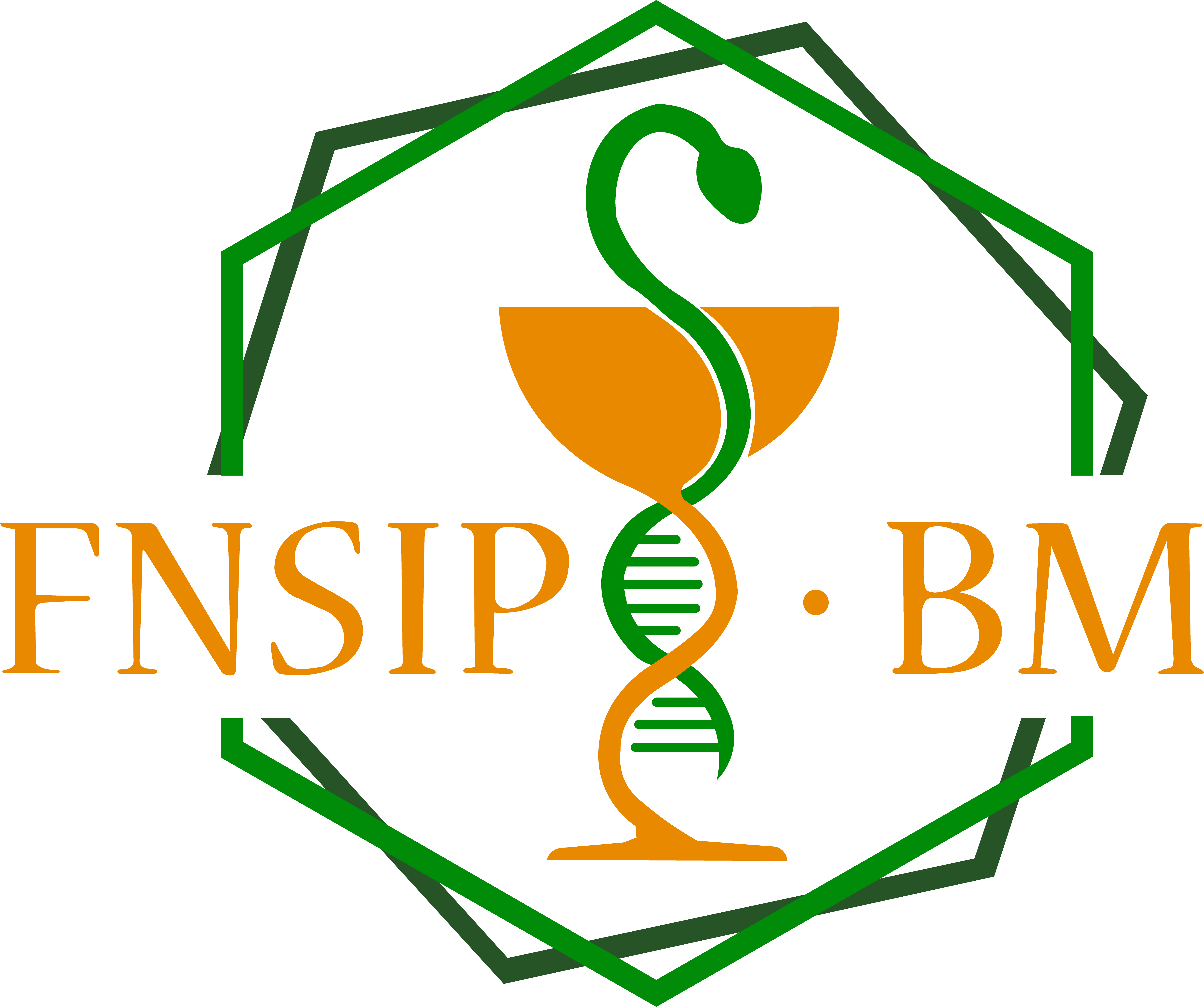 FNSIP BM