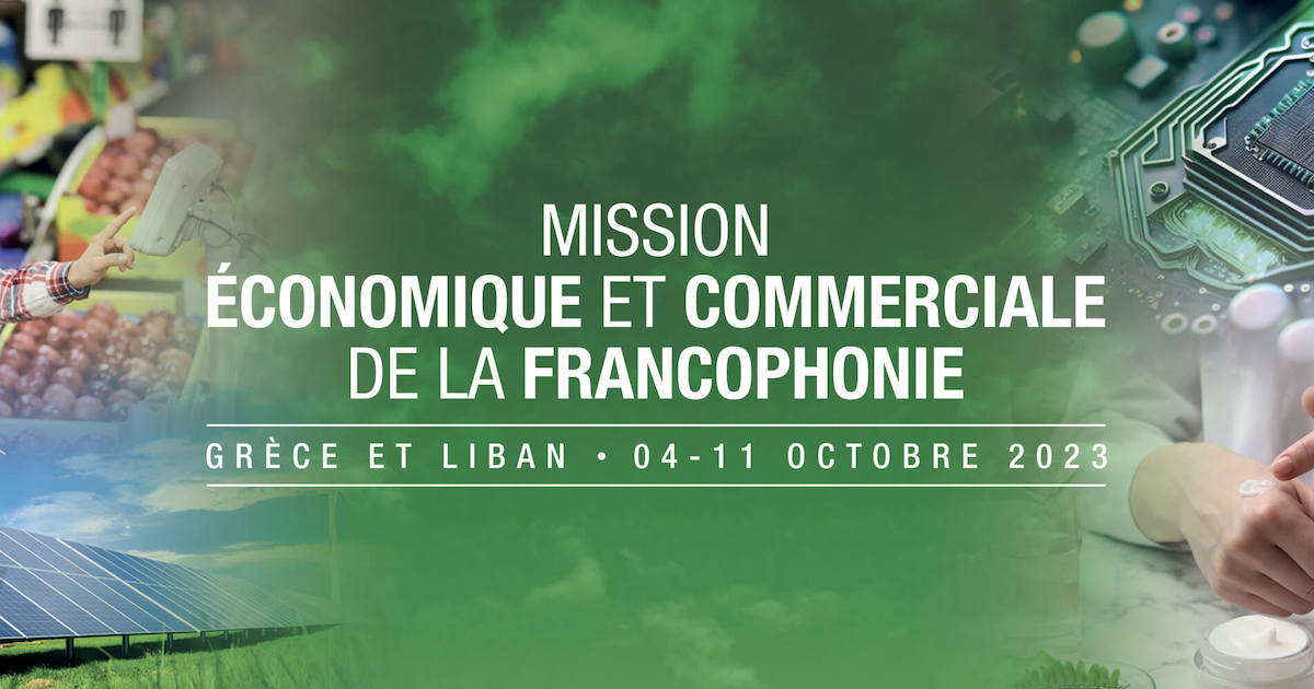 Agence Nationale pour la Promotion des Investissements (ANAPI)