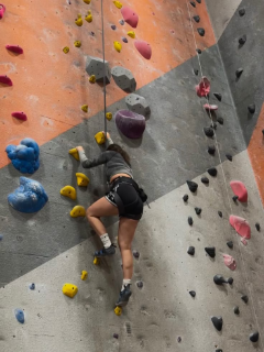 Inititiation escalade