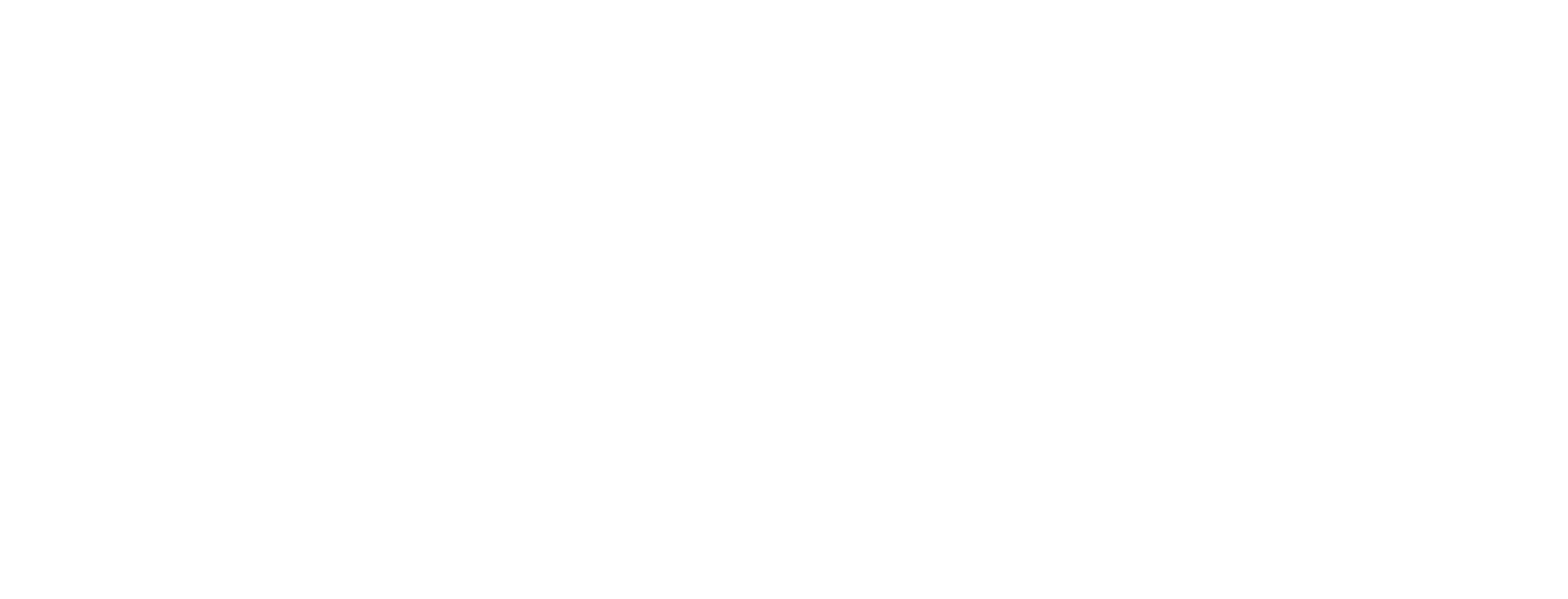Diner Middle East 11.12