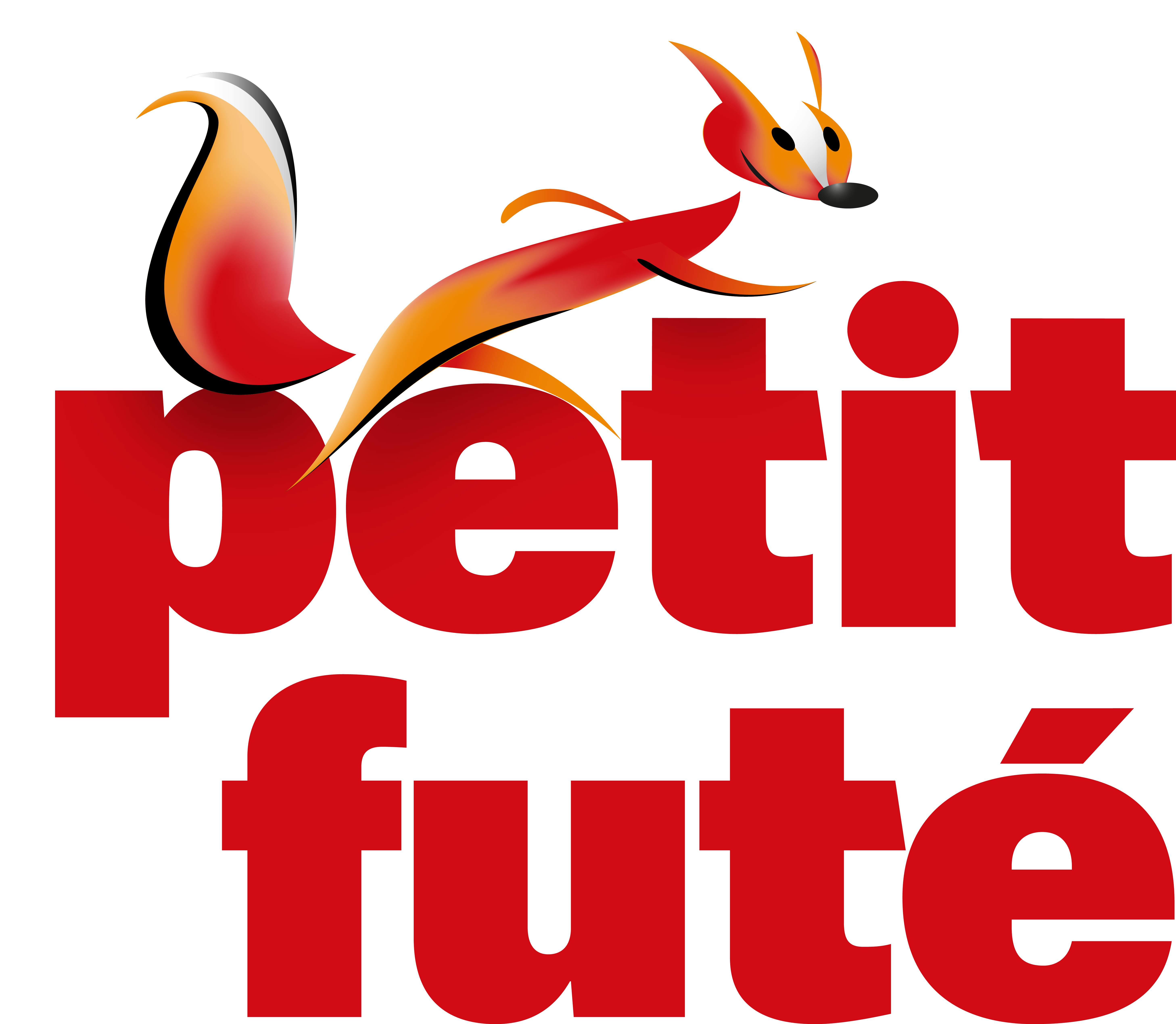 Petit Futé