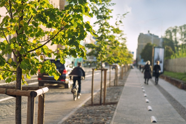 Quels effets de la nature en ville sur la santé humaine
