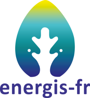  ENERGIS FD 
