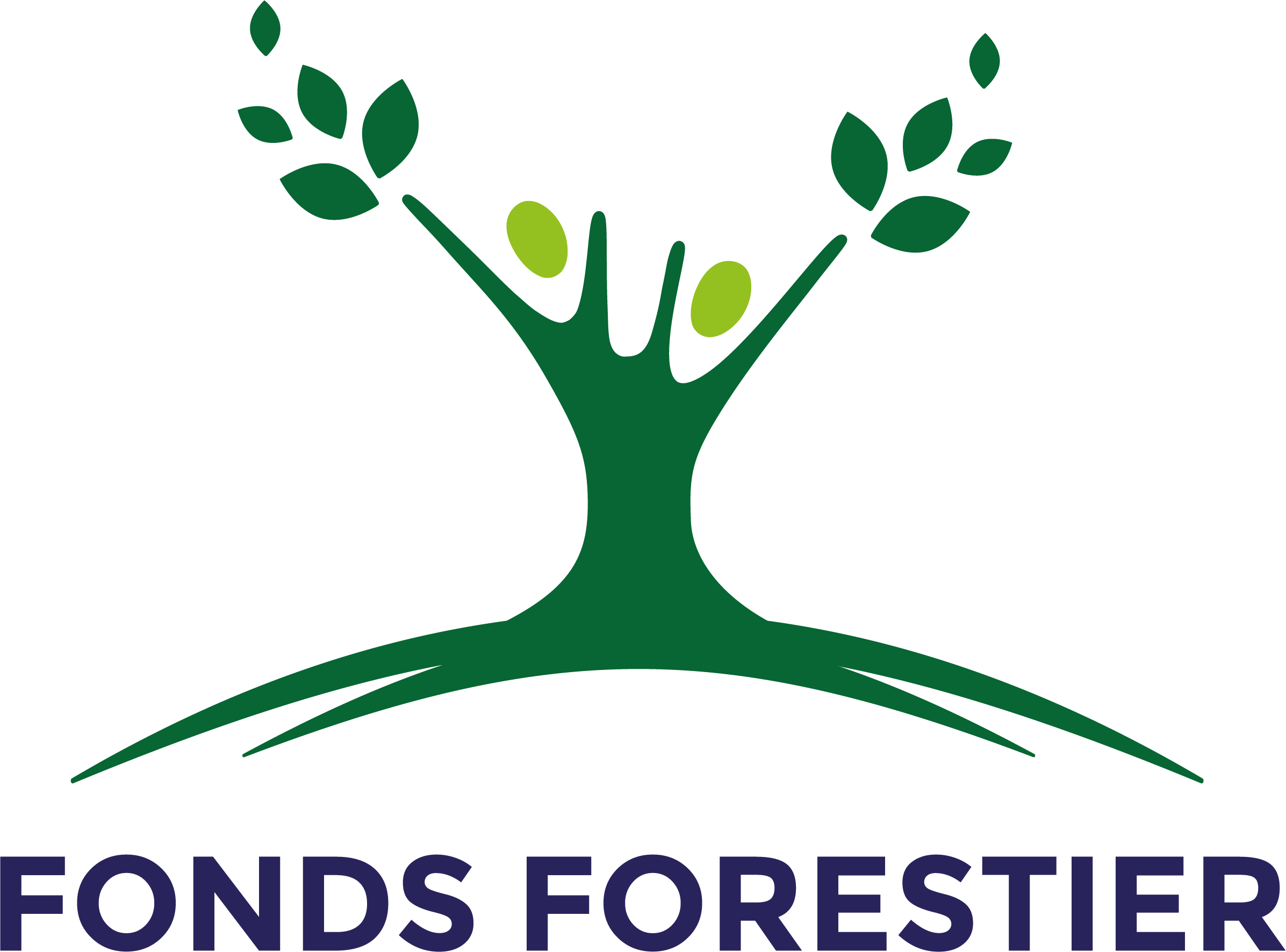 FONDS FORESTIER LIMOUSIN