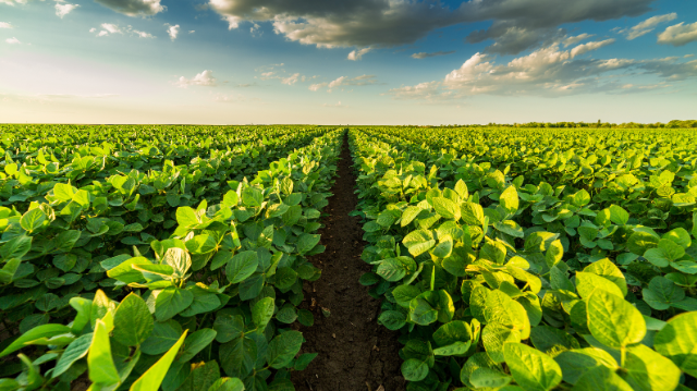 Du champ à l'assiette : une production respectueuse de l'environnement pour une alimentation saine