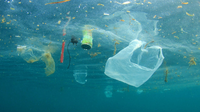 Comment lutter contre les pollutions plastiques afin de protéger nos milieux aquatiques ? 