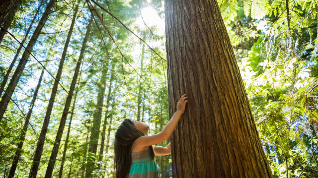 Changement climatique : des impacts directs sur notre santé… L’importance de reconnecter les enfants à la nature. 