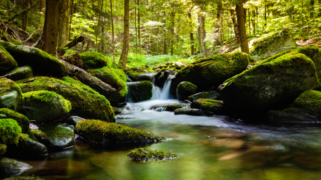 Table ronde sur la thématique de l’eau