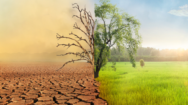 Où nous mène le changement climatique en cours ? 