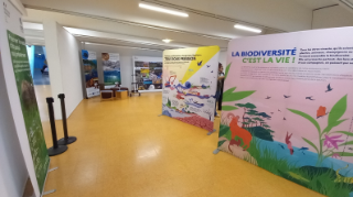Exposition La biodiversité, c'est la vie ! – OFB