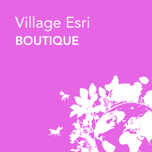 Village Esri - Boutique