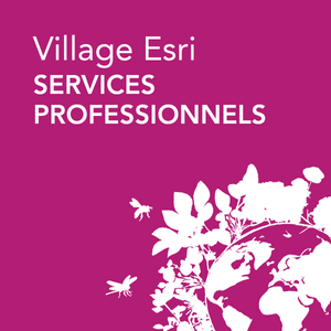 Village Esri - Services Professionnels