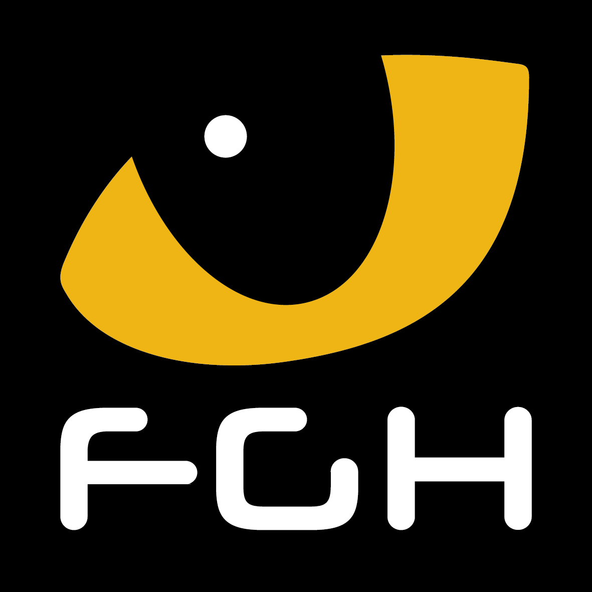 FGH TECHNOLOGIES