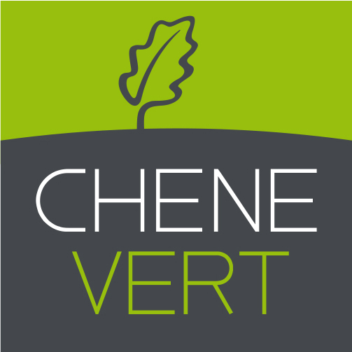 CHENE VERT