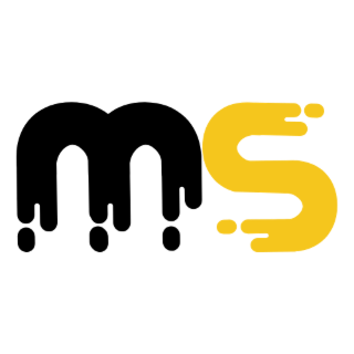 MS FORMATION PRO