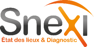 SNEXI