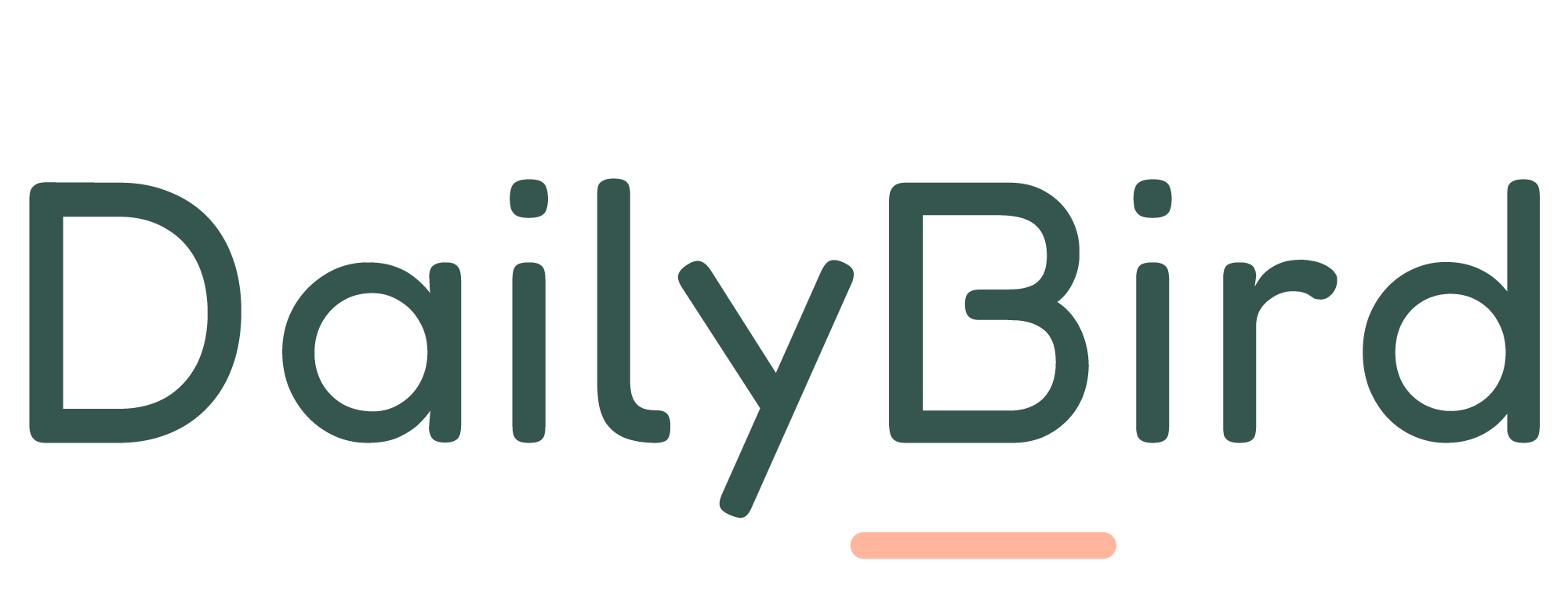 DailyBird
